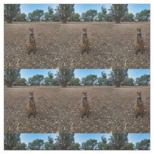"Nature’s Feast: A Wallaby’s Snack Break" Fabric