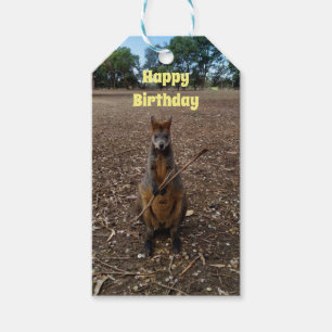 "Nature’s Feast: A Wallaby’s Snack Break" Gift Tags