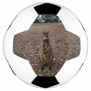 "Nature’s Feast: A Wallaby’s Snack Break" Soccer Ball