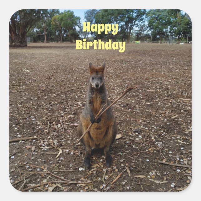 "Nature’s Feast: A Wallaby’s Snack Break" Square Sticker (Front)