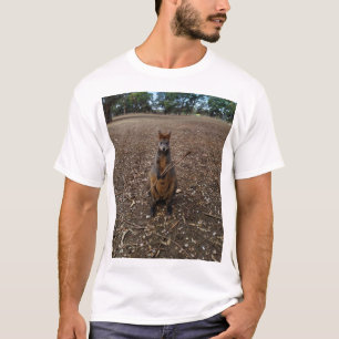 "Nature’s Feast: A Wallaby’s Snack Break" T-Shirt