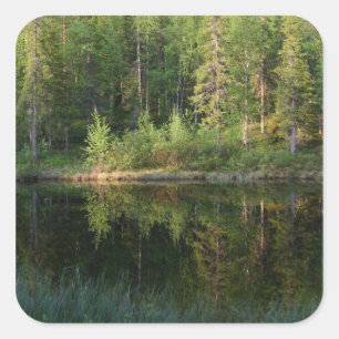 Nature’s Reflections custom stickers