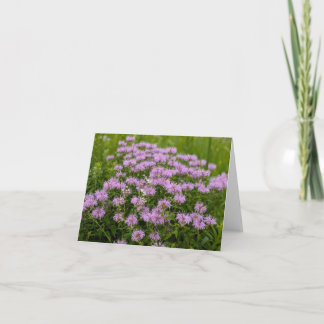 Nature’s Touch – Blank Greeting & Thank You Card