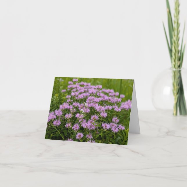 Nature’s Touch – Blank Greeting & Thank You Card (Front)