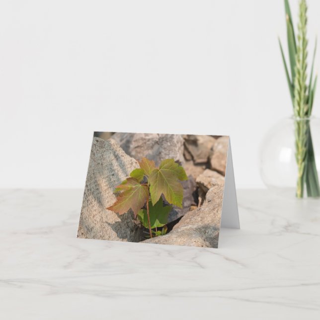 Nature’s Touch – Blank Greeting & Thank You Card (Front)