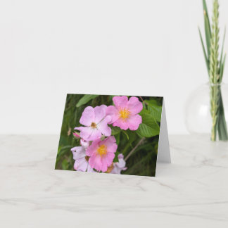 Nature’s Touch – Blank Greeting & Thank You Card