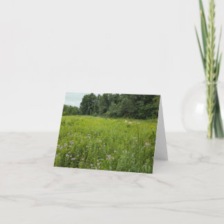 Nature’s Touch – Blank Greeting & Thank You Card