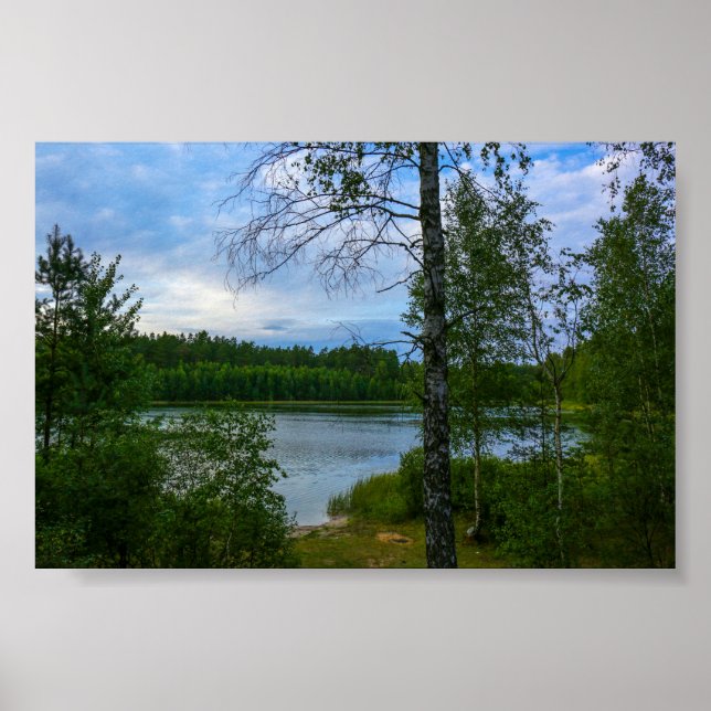 Nature Scenery Landscape Forest Belarus Poster (Front)