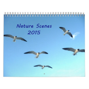 Nature Scenes 2015 Calendar