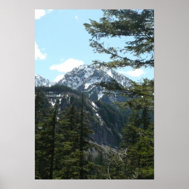 Nature scenes Print (Front)
