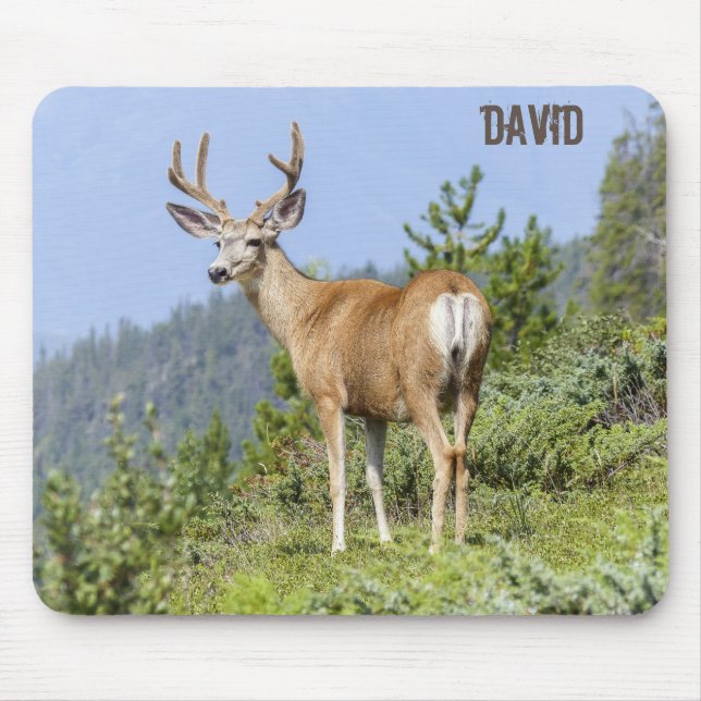 Nature Scenic Elk  Mouse Pad (Front)