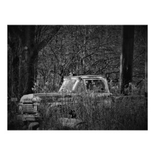 "Nature, Take the Wheel" Photo Print