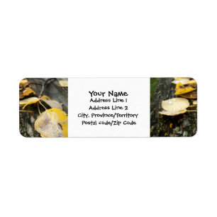 Nature Takes Over Return Address Label