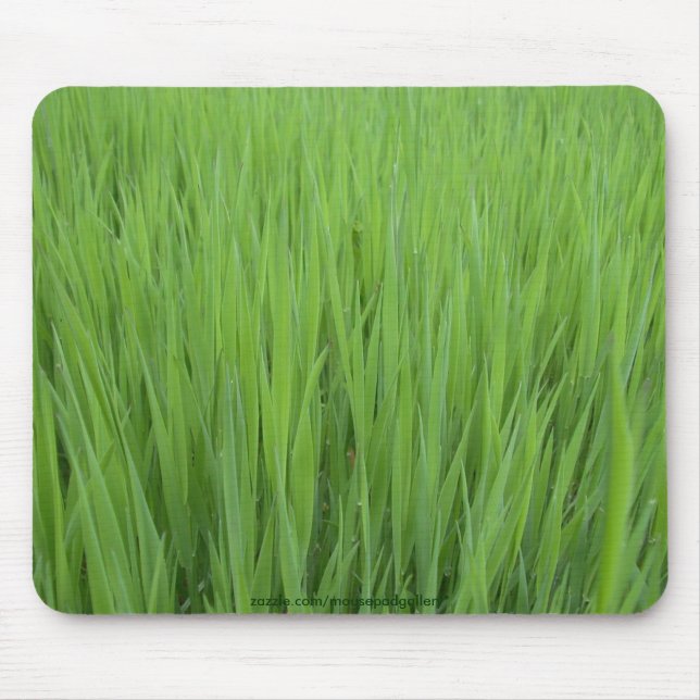 NATURE TEXTURES Mousepad Collection (Front)