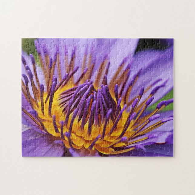 Nature Theme Closetup Water Flower Closeup Jigsaw Puzzle (Horizontal)
