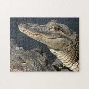 Nature Theme Live Alligators Puzzles For Adults