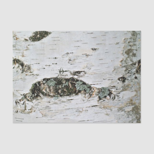 Nature Tissue Paper Birch Wood (Front)