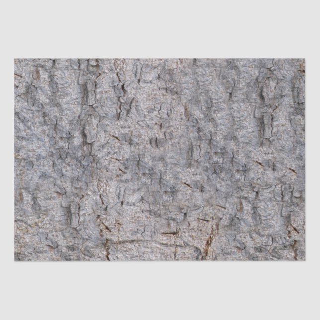 Nature Tree Bark Photo Tissue Paper (Front)