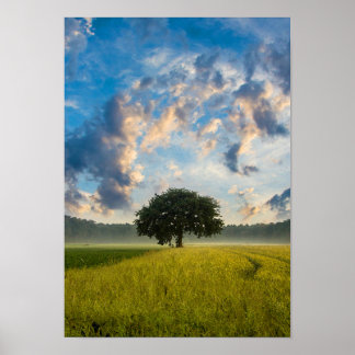 Nature Tree Green Grass Wild Blue Sky Summer Poster