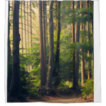 Nature, Trees in the National Park