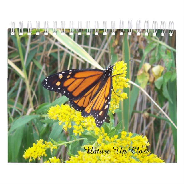 Nature Up Close Calendar (Cover)