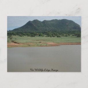 Nature view from Voi wildlife Lodge, Kenya Postcard