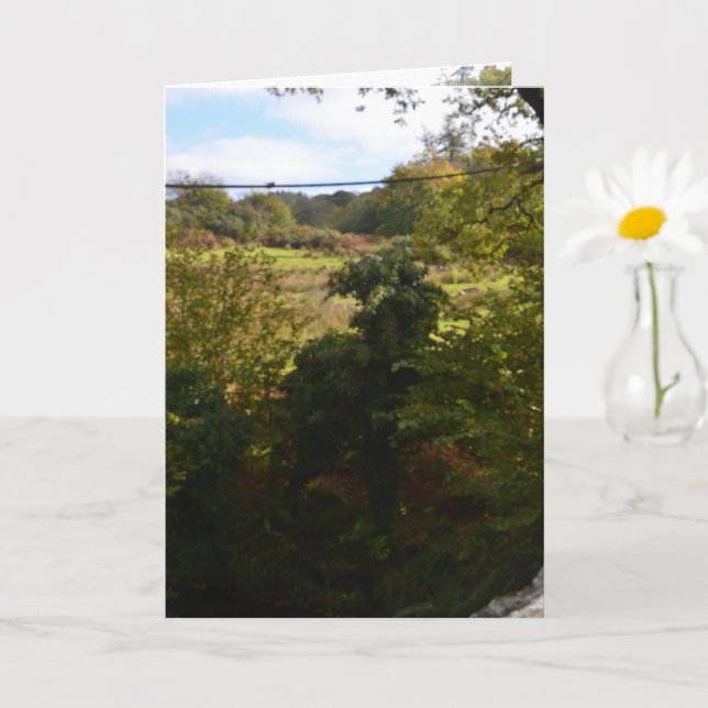 nature way of impersonating animals card (Small Plant)