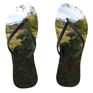 nature way of impersonating animals thongs