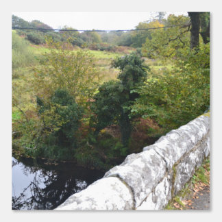 nature way of impersonating animals wallpaper