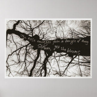 Nature Whispers Poster