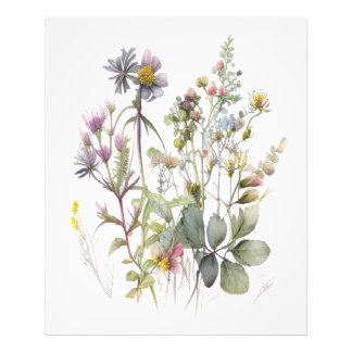 nature-wildflower's photo print