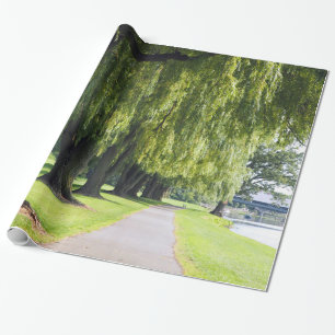 Nature Willow River Pathway Photo Wrapping Paper