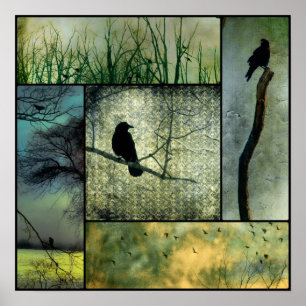Nature With Crows Poster