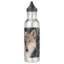 Nature & Wolf Design