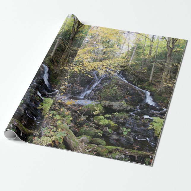 Nature Wrapping Paper (Unrolled)