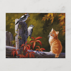 Natures Animals Postcard