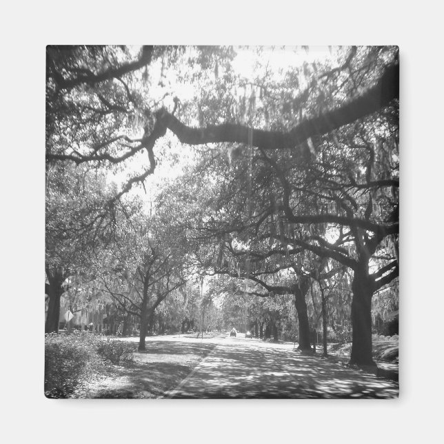 nature's arbor magnet (Front)