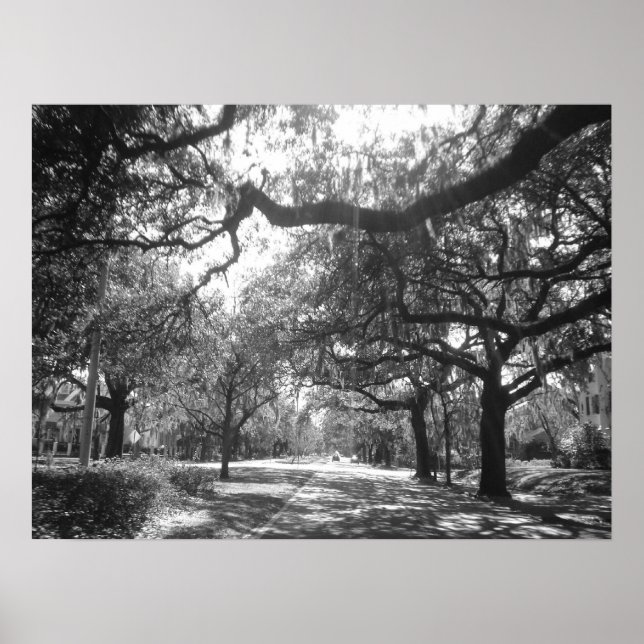 Nature's Arbor Poster (Front)