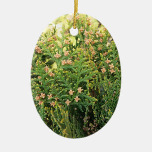 Nature's Beauty: Juniper Tree Ceramic Ornament
