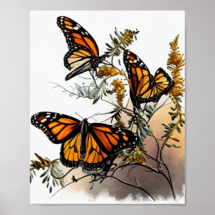Nature's Beauty Monarch Butterflies Poster