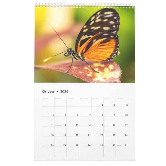 Nature's beauty: Small Sights Calendar (Oct 2026)