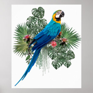 Nature's Big Bird Poster