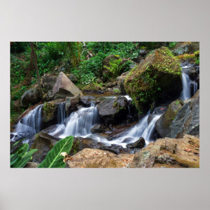 Nature's Bliss Poster