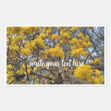 Nature's bloom