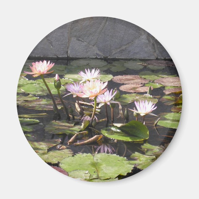 Nature's Bouquet Series: Summer magnet (Front)