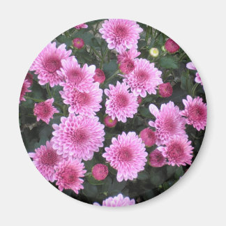 Nature's Bouquet: Spring Magnet