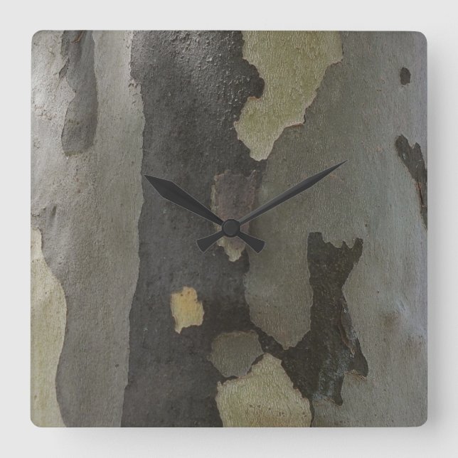 Nature's Camouflage -Sycamore Bark Clock (Front)