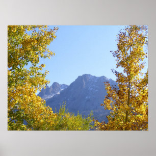 Nature's Canvas Poster