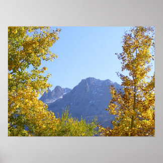 Nature's Canvas Poster