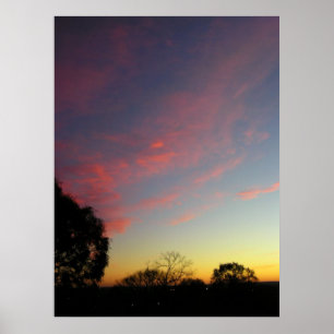 Nature's Canvas Poster